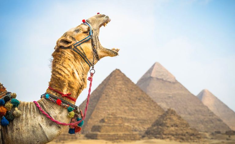 Giza Pyramids 9